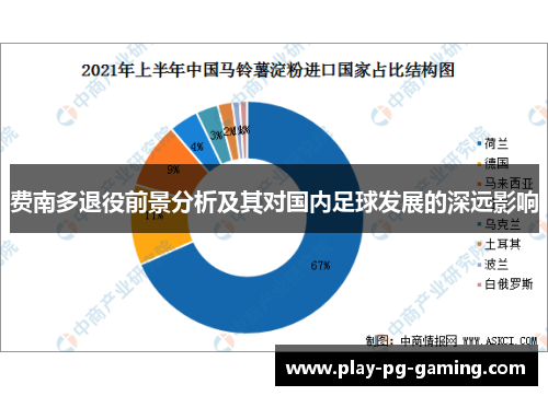 费南多退役前景分析及其对国内足球发展的深远影响